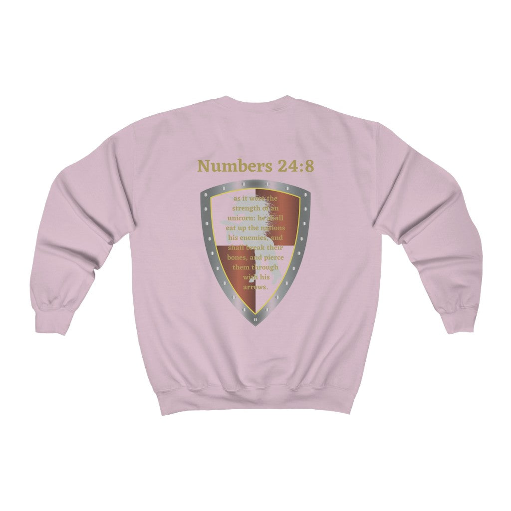 Numbers 24:8 Shield of Faith Sweater